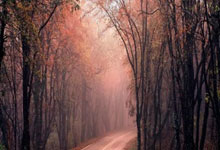 利物浦锁定欧冠出线：胜利之夜点燃红军新希望