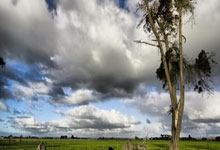 绿军再胜人，火力全开掀翻对手：软文之旅