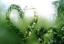 阿森纳壮志凌云，欲夺得国内联赛冠军