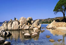 博洛尼亚在主场负于佛罗伦萨，保级形势危险