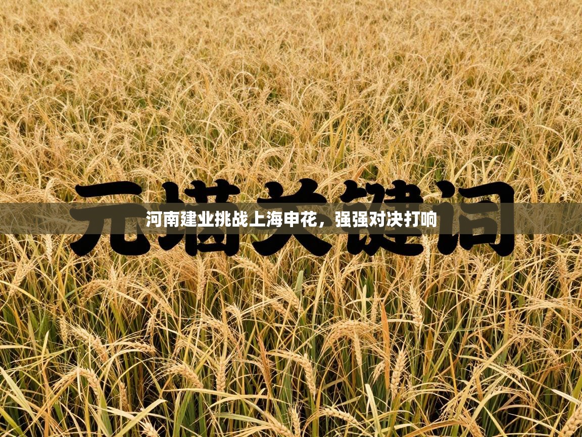 河南建业挑战上海申花，强强对决打响  第2张