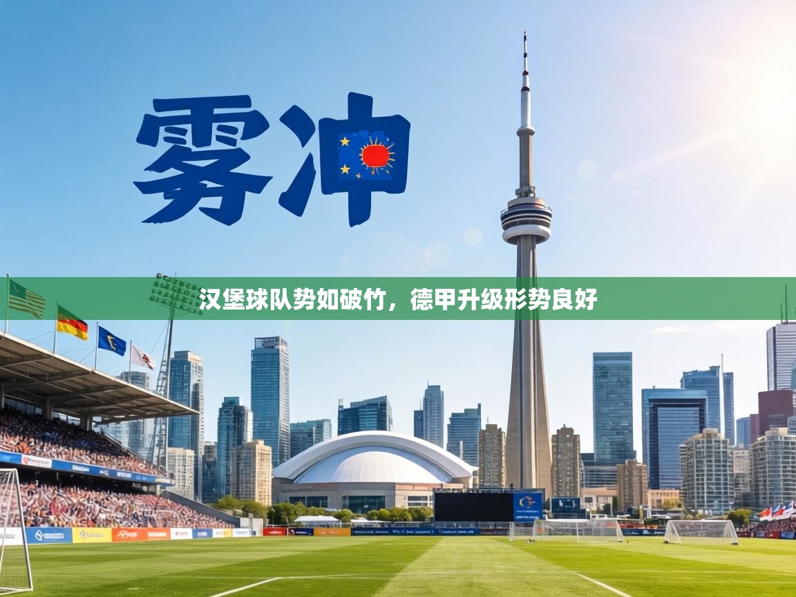 汉堡球队势如破竹，德甲升级形势良好  第2张